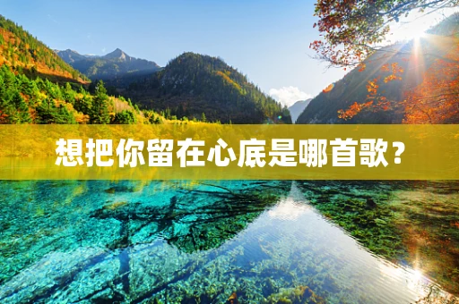 想把你留在心底是哪首歌？