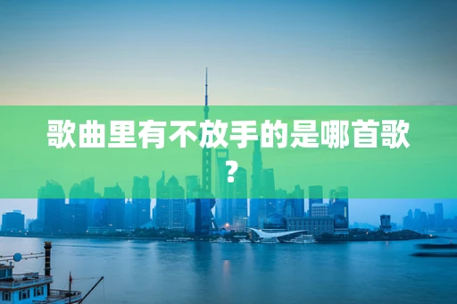 歌曲里有不放手的是哪首歌？