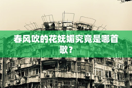 春风吹的花妩媚究竟是哪首歌？