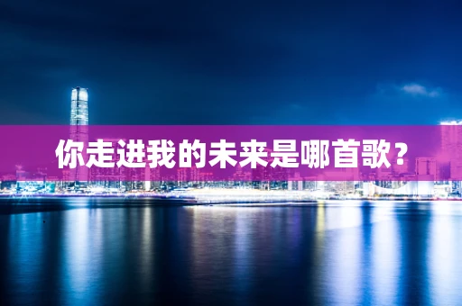 你走进我的未来是哪首歌？