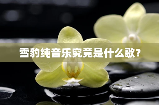 雪豹纯音乐究竟是什么歌？
