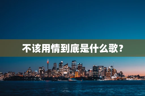 不该用情到底是什么歌？