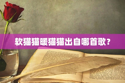 软猫猫暖猫猫出自哪首歌？