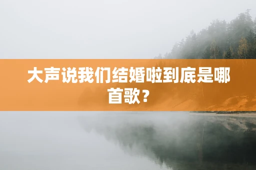 大声说我们结婚啦到底是哪首歌？