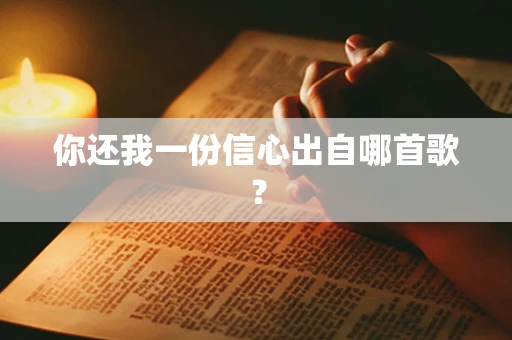 你还我一份信心出自哪首歌？