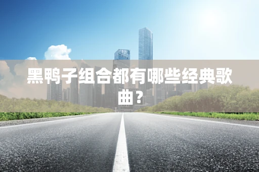 黑鸭子组合都有哪些经典歌曲？