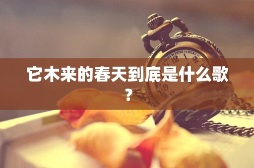 它木来的春天到底是什么歌？