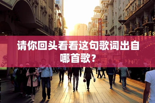 请你回头看看这句歌词出自哪首歌？