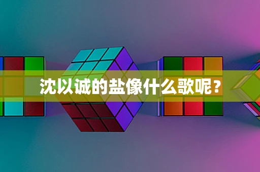沈以诚的盐像什么歌呢？