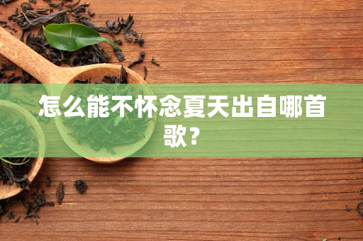 怎么能不怀念夏天出自哪首歌？