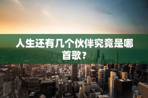 人生还有几个伙伴究竟是哪首歌？