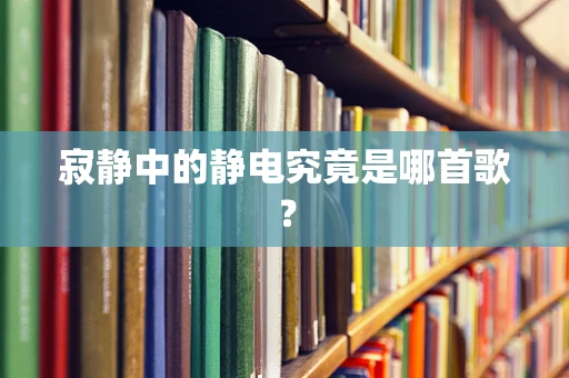 寂静中的静电究竟是哪首歌？