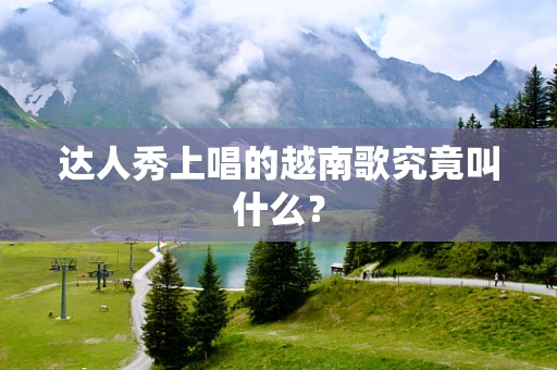 达人秀上唱的越南歌究竟叫什么？