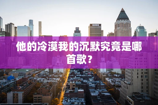 他的冷漠我的沉默究竟是哪首歌？