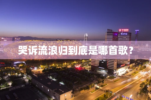 哭诉流浪归到底是哪首歌？