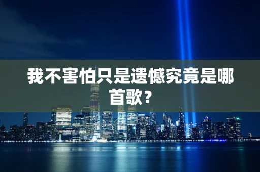 我不害怕只是遗憾究竟是哪首歌？