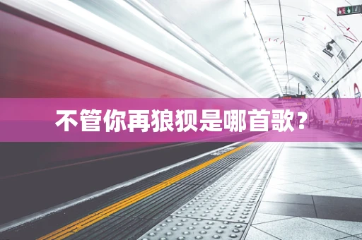 不管你再狼狈是哪首歌？