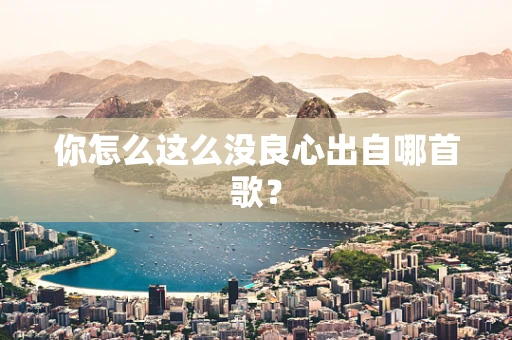 你怎么这么没良心出自哪首歌？