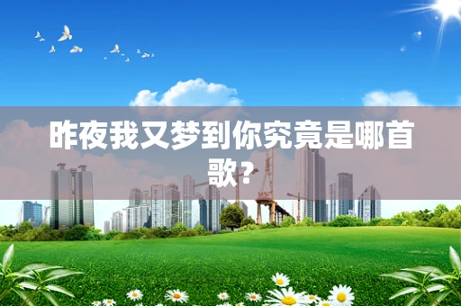 昨夜我又梦到你究竟是哪首歌？