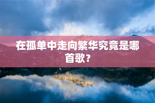 在孤单中走向繁华究竟是哪首歌？