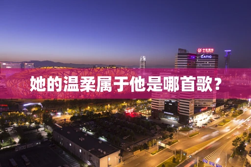 她的温柔属于他是哪首歌？