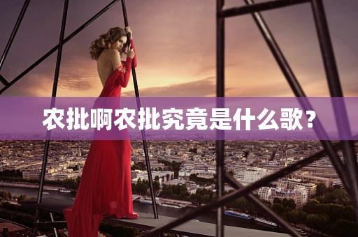 农批啊农批究竟是什么歌？