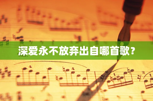 深爱永不放弃出自哪首歌？