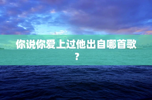 你说你爱上过他出自哪首歌？