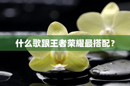 什么歌跟王者荣耀最搭配？