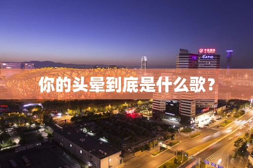 你的头晕到底是什么歌？