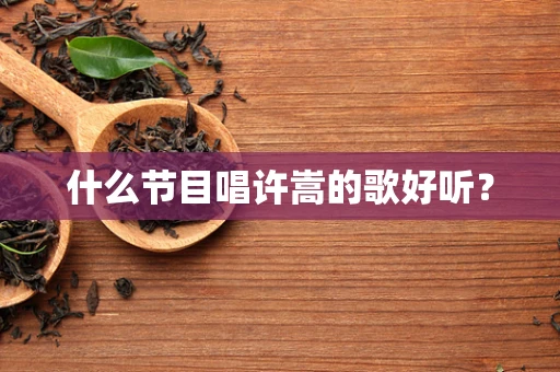 什么节目唱许嵩的歌好听？