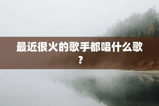 最近很火的歌手都唱什么歌？