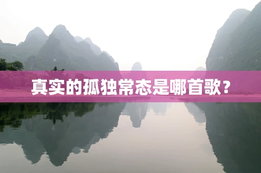 真实的孤独常态是哪首歌？