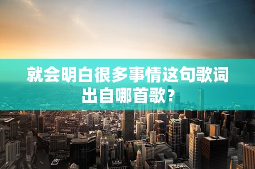 就会明白很多事情这句歌词出自哪首歌？