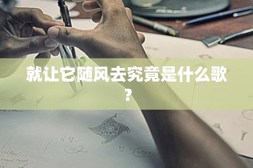 就让它随风去究竟是什么歌？