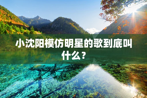 小沈阳模仿明星的歌到底叫什么？