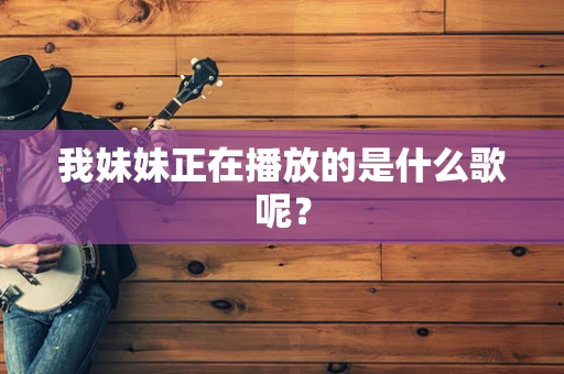 我妹妹正在播放的是什么歌呢？