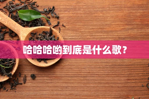 哈哈哈哟到底是什么歌？