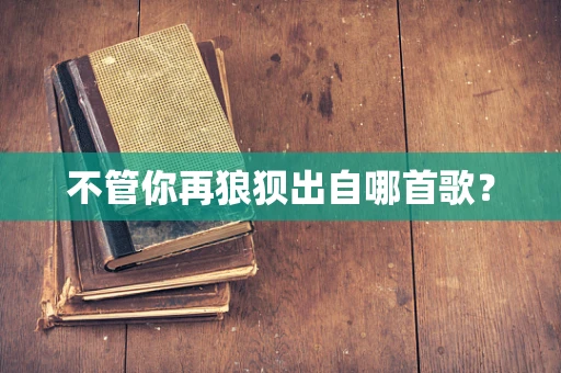 不管你再狼狈出自哪首歌？