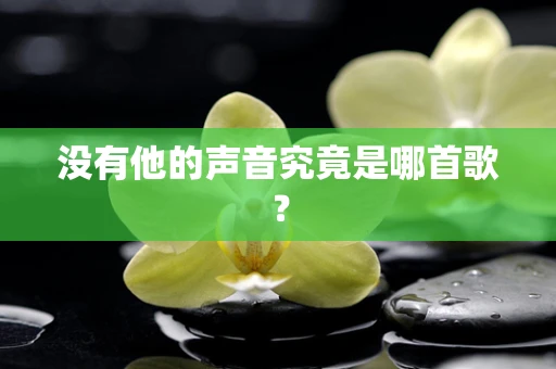 没有他的声音究竟是哪首歌？