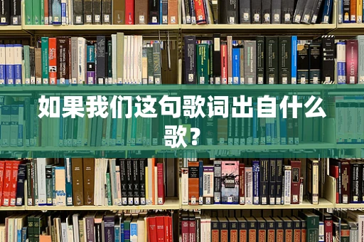 如果我们这句歌词出自什么歌？