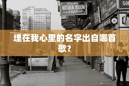 埋在我心里的名字出自哪首歌？