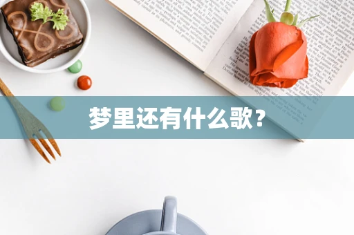 梦里还有什么歌？