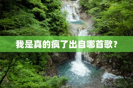 我是真的疯了出自哪首歌？