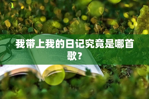 我带上我的日记究竟是哪首歌？