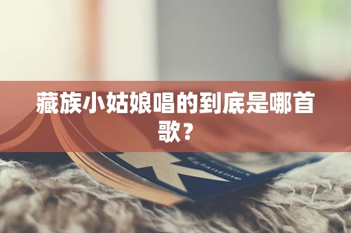 藏族小姑娘唱的到底是哪首歌？