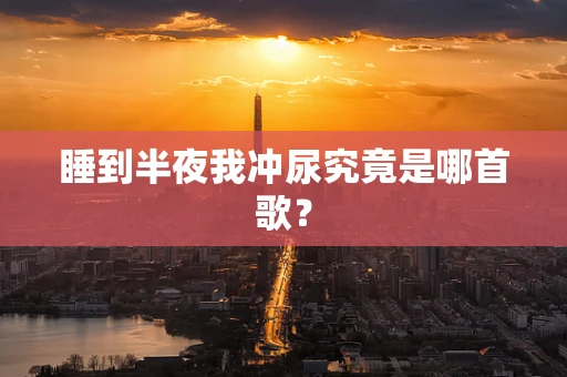 睡到半夜我冲尿究竟是哪首歌？