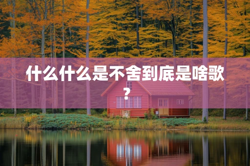什么什么是不舍到底是啥歌？