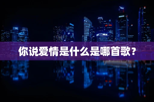 你说爱情是什么是哪首歌？