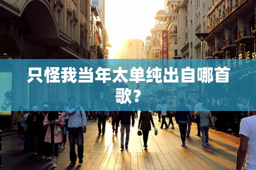 只怪我当年太单纯出自哪首歌？